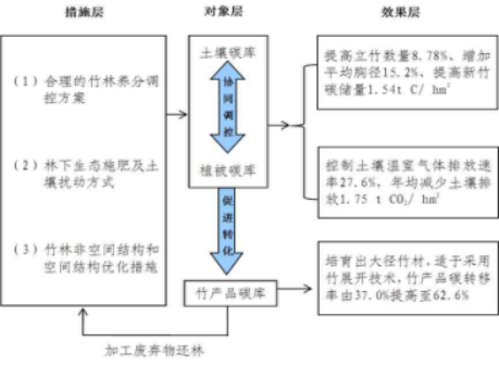 浙江农林大学(图1)