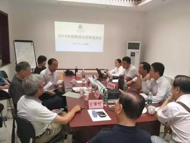 回顾首届中国碳博会盛况Review the first China carbon expo(图2)